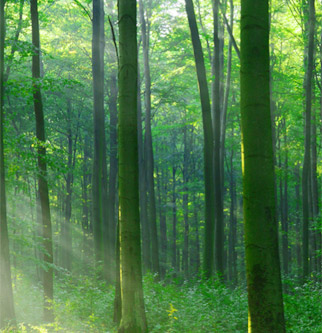 尊龙人生就是博·Z6「中国区」首页官网