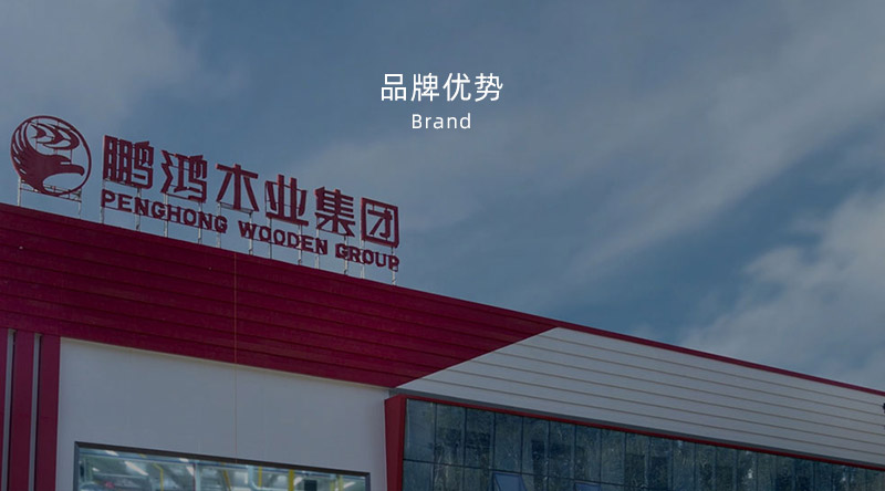 板材品牌、、、全屋定制品牌、、、生态板十大品牌