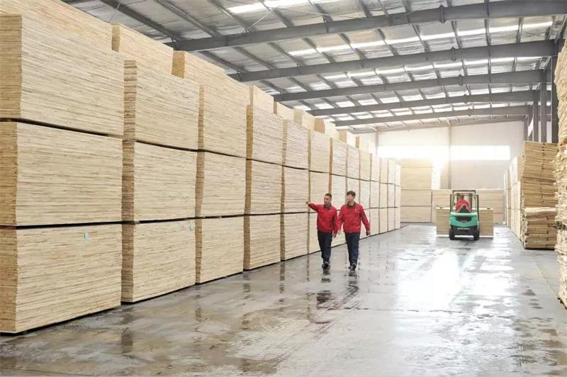 尊龙人生就是博首页板材生产基地