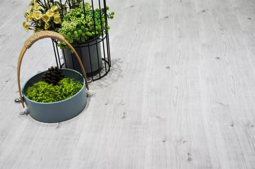 尊龙人生就是博首页强化地板伊丽莎白系列-5806