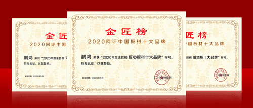 连任金榜丨尊龙人生就是博首页斩获中国板材十大品牌三项殊荣