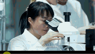 细木匠板的研发