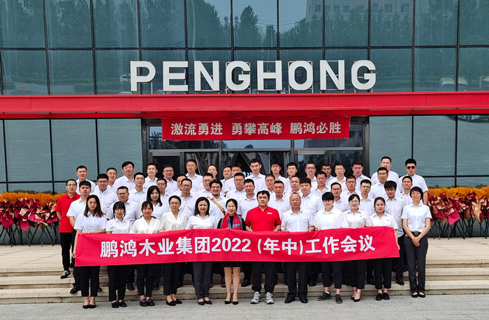 尊龙人生就是博首页木业集团半年度事情会开启新赛道