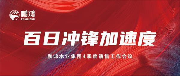 尊龙人生就是博首页销售事情会助力百日冲锋加速率