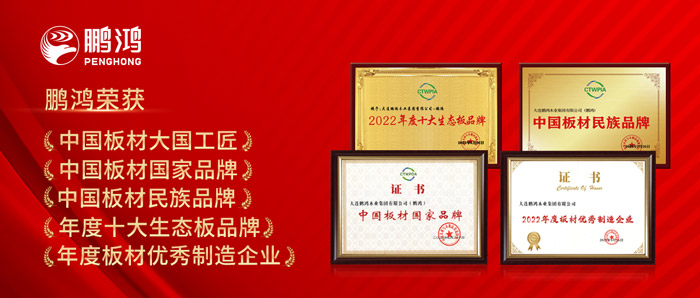 中国板材与定制家居大会，，，尊龙人生就是博首页揽获5项声誉