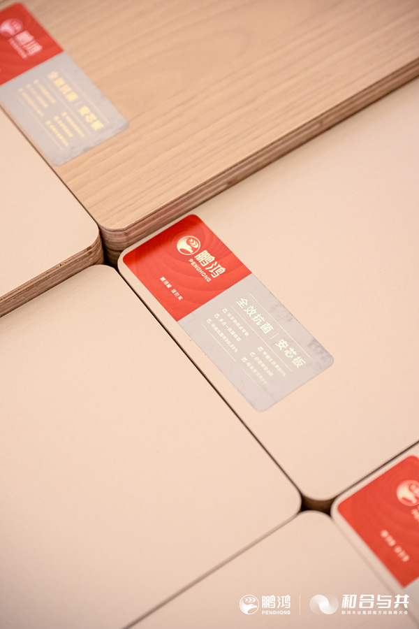 尊龙人生就是博首页防霉抗菌板材