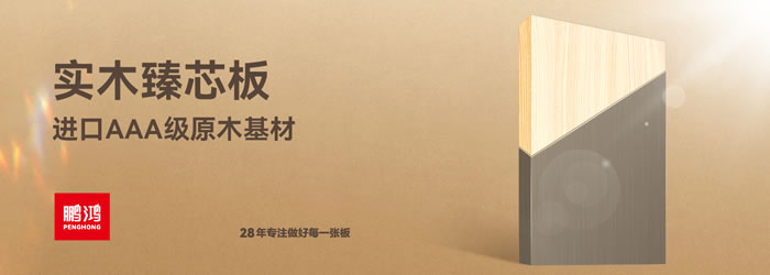 尊龙人生就是博首页臻芯板