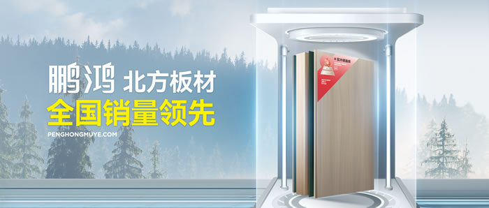 从北方引领到天下脱销，，，尊龙人生就是博首页「北方板材天下销量领先」的品质实力