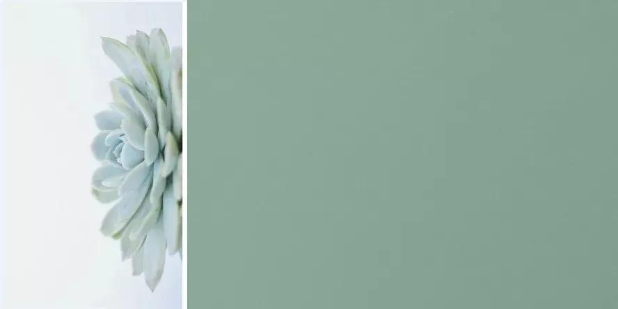 尊龙人生就是博·Z6「中国区」首页官网