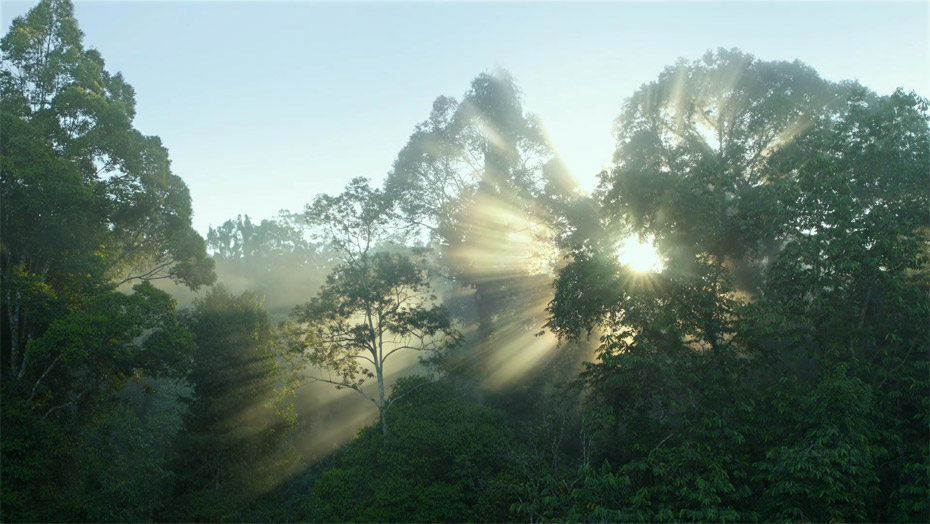 尊龙人生就是博·Z6「中国区」首页官网