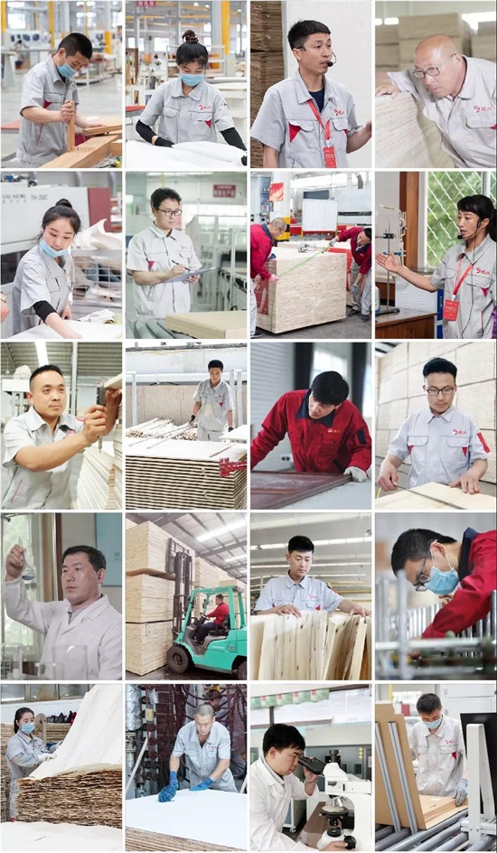 尊龙人生就是博首页板材