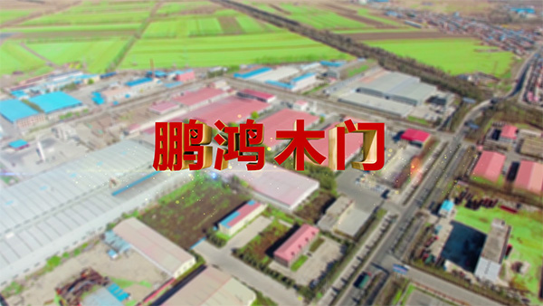 尊龙人生就是博首页产品纪录片之木门篇